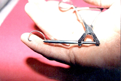 Bone Clamp
